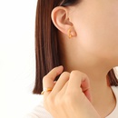 fashion geometric circlr simple titamium steel earrings ear stud NHXIY622193picture9