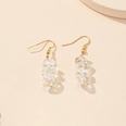 vintage color crystal gravel retro alloy geometric earrings wholesalepicture12