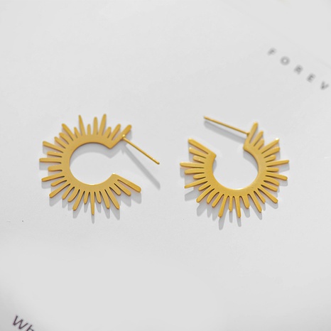 simple stainless steel earrings fashion sunflower earrings NHWC579128's discount tags