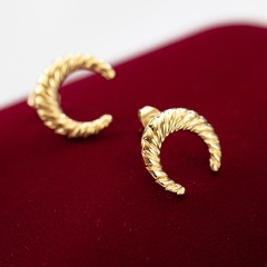 Fashion horn pattern earrings stainless steel earrings wholesale