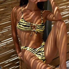 New Leopard Print Bikini Sexy Swimsuit