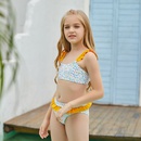 Childrens Split Ruffle Swimsuit European and American Sexy Bikinipicture6