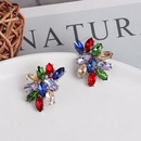 geometrical diamondstudded female fashion exaggerated earrings NHJJ581034picture8