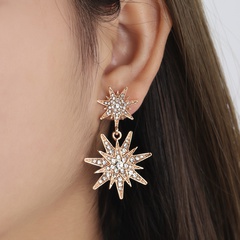2022 fashion full of stars and diamonds pendant geometric earrings wholesale