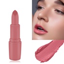 fashion matte lipstick bullet lipstick lip gloss lipstick makeuppicture6