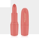 fashion matte lipstick bullet lipstick lip gloss lipstick makeuppicture8