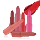 fashion matte lipstick bullet lipstick lip gloss lipstick makeuppicture9
