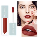 fashion lipstick set matte velvet lip glaze waterproof lip glosspicture6