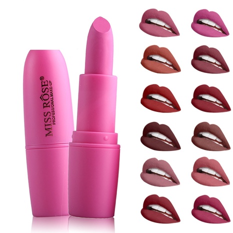 fashion lipstick matte bullet lipstick cosmetic makeup lipstick's discount tags