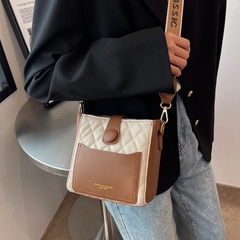 Niche design women's autumn and winter 2021 new trendy wide shoulder strap messenger bag