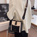 Niche design womens autumn and winter 2021 new trendy wide shoulder strap messenger bagpicture10