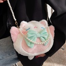 Cute female 2021 winter new trendy messenger bag plush chain shoulder bagpicture9