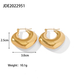 Fashion Geometric Stainless Steel Earrings Gold Plated Stainless Steel Earringspicture23