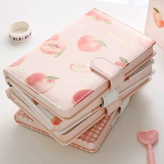 Peach series A5 Magnetic Buckle PU Leather Diary Journal Book Wholesale