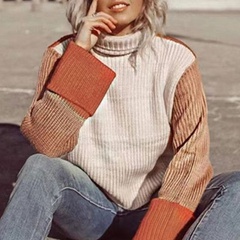 Fashion Color Block Polyacrylonitrile Fiber Turtleneck Long Sleeve Regular Sleeve Sweater