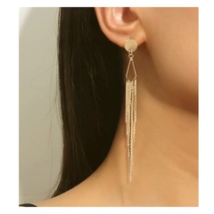 Fashion Tassel Alloy Plating Hollow Out Women'S Drop Earrings 1 Pair