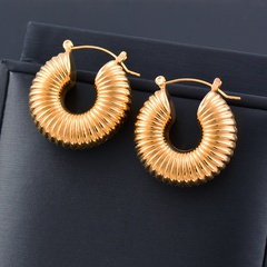Fashion Solid Color Stainless Steel Inlaid Gold Hoop Earrings 1 Pair