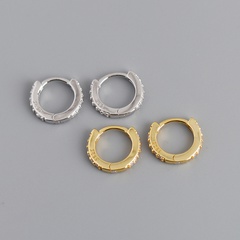 Fashion Circle Sterling Silver Plating Zircon Earrings 1 Pair