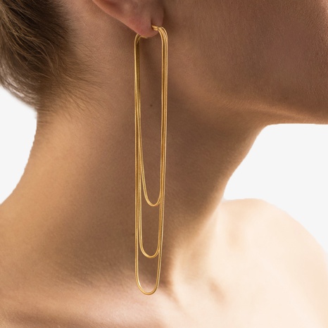 Long tassel earrings female fashion niche design gold plated copper earrings NHGI629408's discount tags