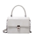 handbag bag 2022 new stone pattern womens bag fashion chain messenger small square bag 195146cmpicture10