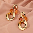 fashion long resin simple chain contrast color earrings wholesalepicture8