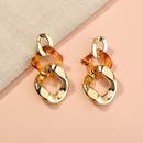 fashion long resin simple chain contrast color earrings wholesalepicture10