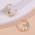 fashion jewelry Cshaped rhinestone butterflies shaped earrings wholesalepicture12