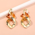 fashion long resin simple chain contrast color earrings wholesalepicture12