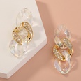 trend jewelry rhinestone inlaid fashion colorful plastic chain earrings wholesalepicture13