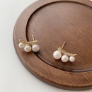 Silberne Nadel Koreanische Perlenohrstecker Damen Kalter Wind Einfache Damen Kleine Antiallergische Leichte Luxus Nischen Design Ohrringe Damenpicture10