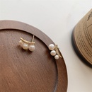 Silberne Nadel Koreanische Perlenohrstecker Damen Kalter Wind Einfache Damen Kleine Antiallergische Leichte Luxus Nischen Design Ohrringe Damenpicture12