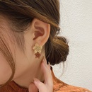 Silver needle Korean autumn and winter coffee color flowers niche design small fresh and cute flower stamens retro fashion earrings earrings femalepicture6
