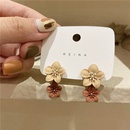 Silver needle Korean autumn and winter coffee color flowers niche design small fresh and cute flower stamens retro fashion earrings earrings femalepicture9