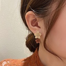 Silver needle Korean autumn and winter coffee color flowers niche design small fresh and cute flower stamens retro fashion earrings earrings femalepicture10