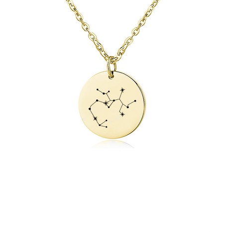 Fashion Constellation Coin Pendant Stainless Steel Necklace Wholesale NHACH642925's discount tags