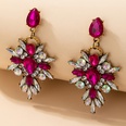 fashion contrast color alloy rhinestones flower circle geometric earringspicture62