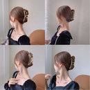 Fashion Large 2022 new back head clip headdress alloy hairpin NHCQ645959picture7