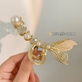 Fashion Large 2022 new back head clip headdress alloy hairpin NHCQ645959picture11
