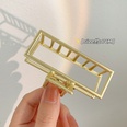Fashion Large 2022 new back head clip headdress alloy hairpin NHCQ645959picture14