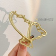 Fashion Large 2022 new back head clip headdress alloy hairpin NHCQ645959picture20