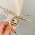 Fashion Large 2022 new back head clip headdress alloy hairpin NHCQ645959picture17