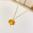 European and American Titanium Steel Necklace Personalized Fashion Leaves Make Money Overnight Clavicle Chain Maple Leaf Pendant Simple Hollow Ornamentpicture14