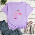 Letter Firebird Fashion Print Ladies Loose Casual TShirtpicture38