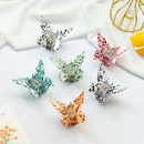 Fashion jewelry imitation acetate retro butterfly catch clip NHJXI648291picture6