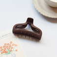 Autumn and winter retro coffeecolored hair large shark clips girls hair accessories NHJXI648287picture36