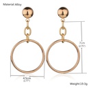 exaggerated long metal circle chain geometric alloy earringspicture11