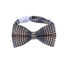 British gentleman collar plaid striped bow tie cat dog wedding bow tiepicture10
