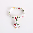 pet cartoon printing collar adjustable fruit and vegetable cat bow tiepicture13