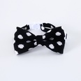 new pet leopard polka dot bow tie adjustable cat collarpicture15