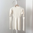 Fashion new cute solid color puff sleeve slim bottoming dresspicture17